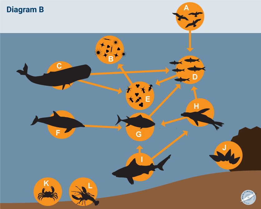 01_food_chain