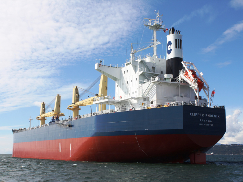 Types of bulk carriers: Slide 1 of 7