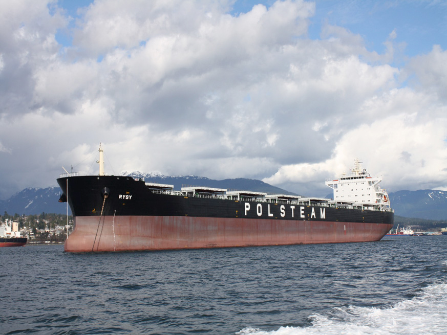 Types of bulk carriers: Slide 3 of 7
