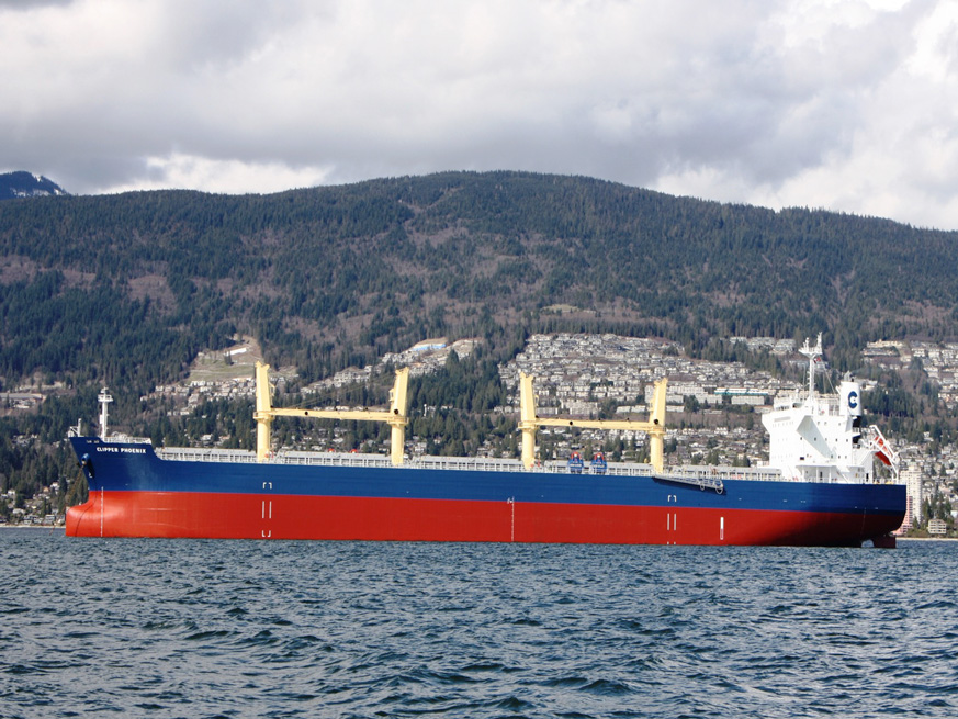 Types of bulk carriers: Slide 4 of 7